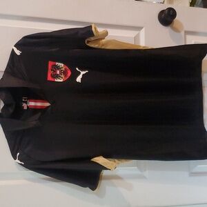 Mens Puma L  Austria Soccer Jersey